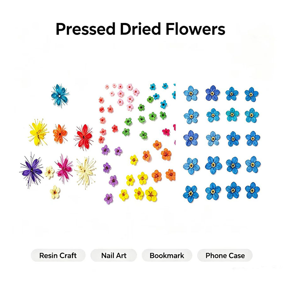 60pcs Mini Pressed Dried Flowe - Resin Craft Ideas review and price