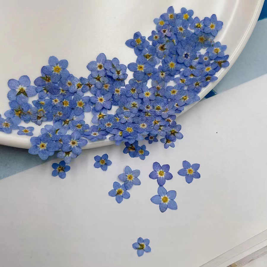 60pcs Mini Pressed Dried Flowe - Resin Craft Ideas review and price